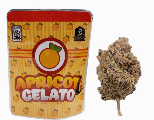 Glazed Apricot Gelato Strain