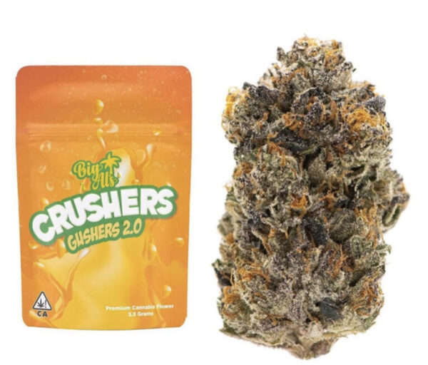 Gushers Strain