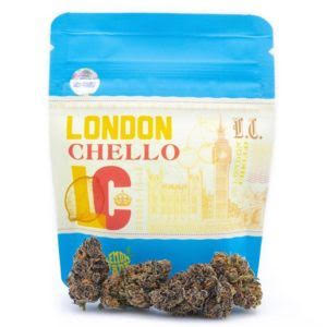 London Chello Strain