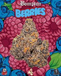 Bompton Berries Strain